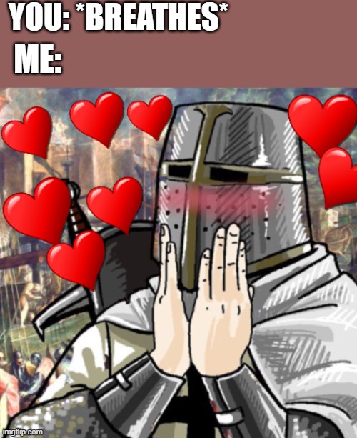 *happy danny noises* | YOU: *BREATHES*; ME: | image tagged in wholesome crusader | made w/ Imgflip meme maker