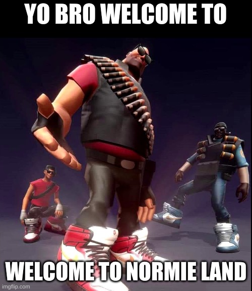 land of normies | YO BRO WELCOME TO; WELCOME TO NORMIE LAND | image tagged in tf2 | made w/ Imgflip meme maker