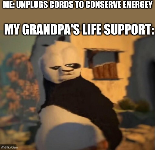 panda | ME: UNPLUGS CORDS TO CONSERVE ENERGEY; MY GRANDPA'S LIFE SUPPORT: | image tagged in panda,hold up wait a minute something aint right | made w/ Imgflip meme maker