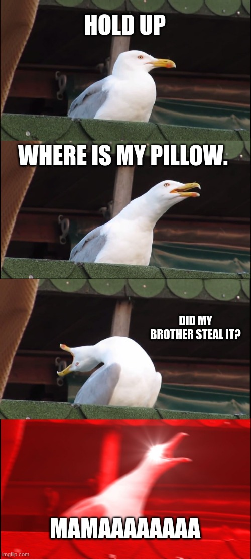 Inhaling Seagull | HOLD UP; WHERE IS MY PILLOW. DID MY BROTHER STEAL IT? MAMAAAAAAAA | image tagged in memes,inhaling seagull | made w/ Imgflip meme maker