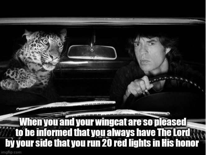 Faraway eyes | When you and your wingcat are so pleased to be informed that you always have The Lord by your side that you run 20 red lights in His honor | image tagged in funny | made w/ Imgflip meme maker