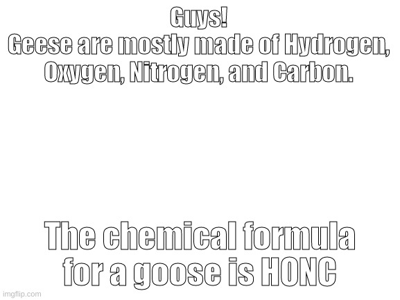sthonks | Guys!
Geese are mostly made of Hydrogen, Oxygen, Nitrogen, and Carbon. The chemical formula for a goose is HONC | image tagged in blank white template | made w/ Imgflip meme maker