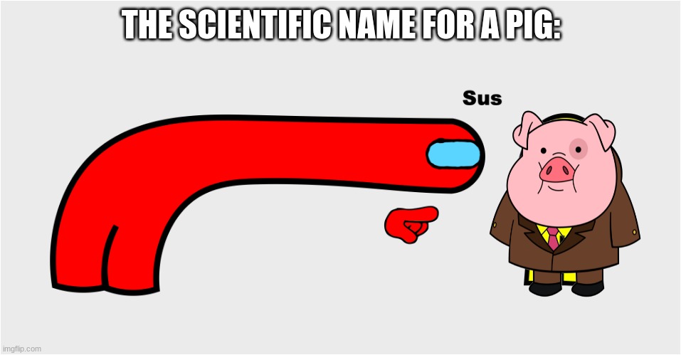 Pigs are sus | THE SCIENTIFIC NAME FOR A PIG: | image tagged in among us sus | made w/ Imgflip meme maker