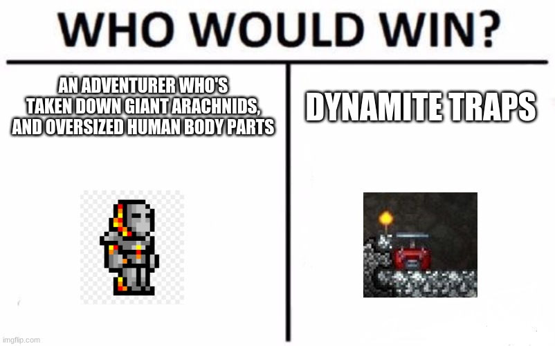 Who would win terraria easy mode | AN ADVENTURER WHO'S TAKEN DOWN GIANT ARACHNIDS, AND OVERSIZED HUMAN BODY PARTS; DYNAMITE TRAPS | image tagged in memes,who would win | made w/ Imgflip meme maker
