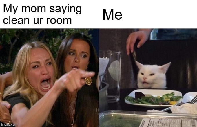 Woman Yelling At Cat | My mom saying clean ur room; Me | image tagged in memes,woman yelling at cat | made w/ Imgflip meme maker