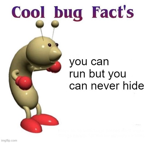 Cool Bug Facts Api | you can run but you can never hide | image tagged in cool bug facts api | made w/ Imgflip meme maker