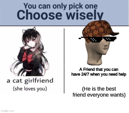 What do you choose |  A Friend that you can have 24/7 when you need help; (He is the best friend everyone wants) | image tagged in choose wisely,random tag i decided to put,choose,girlfriend,friends | made w/ Imgflip meme maker