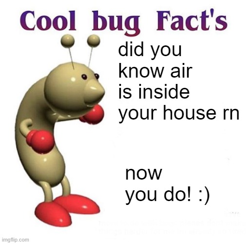 Cool Bug Facts Api | did you know air is inside your house rn; now you do! :) | image tagged in cool bug facts api | made w/ Imgflip meme maker