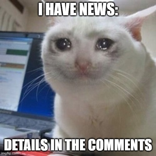 sad times | I HAVE NEWS:; DETAILS IN THE COMMENTS | image tagged in crying cat | made w/ Imgflip meme maker