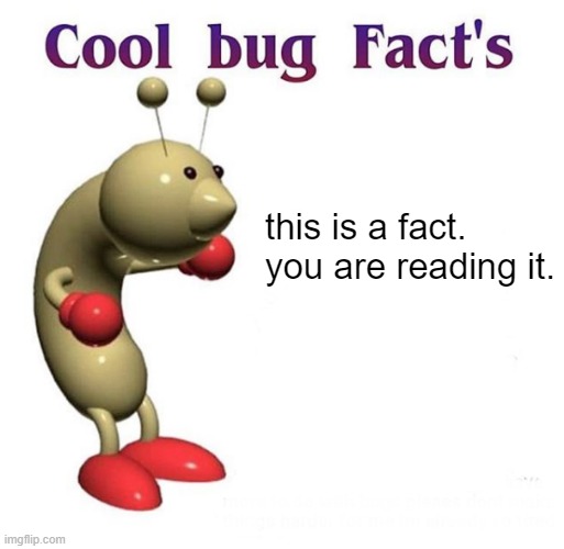 Cool Bug Facts Api | this is a fact. 
you are reading it. | image tagged in cool bug facts api | made w/ Imgflip meme maker