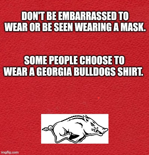 Hogs and Dawgs | DON'T BE EMBARRASSED TO WEAR OR BE SEEN WEARING A MASK. SOME PEOPLE CHOOSE TO WEAR A GEORGIA BULLDOGS SHIRT. | image tagged in sports | made w/ Imgflip meme maker