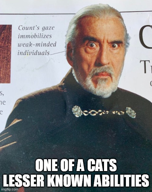 dooku gaze | ONE OF A CATS LESSER KNOWN ABILITIES | image tagged in dooku gaze | made w/ Imgflip meme maker