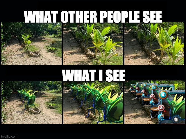 Too Much Splinterlands | WHAT OTHER PEOPLE SEE; WHAT I SEE | image tagged in splinterlands,mantoid,online gaming,blockchain gaming | made w/ Imgflip meme maker