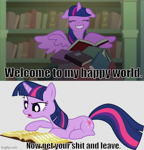 Welcome to my happy world. Now get your shit and leave. | image tagged in twilight sparkle with books,twilight sparkle reading,twilight sparkle,my little pony,friendship is magic | made w/ Imgflip meme maker