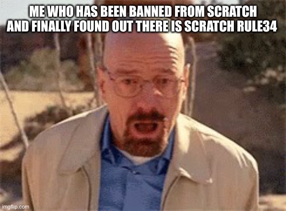 Walter White | ME WHO HAS BEEN BANNED FROM SCRATCH AND FINALLY FOUND OUT THERE IS SCRATCH RULE34 | image tagged in walter white | made w/ Imgflip meme maker