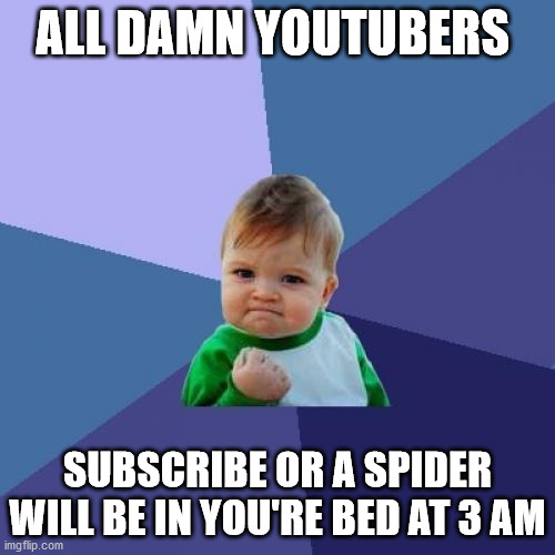 Success Kid |  ALL DAMN YOUTUBERS; SUBSCRIBE OR A SPIDER WILL BE IN YOU'RE BED AT 3 AM | image tagged in memes,success kid | made w/ Imgflip meme maker