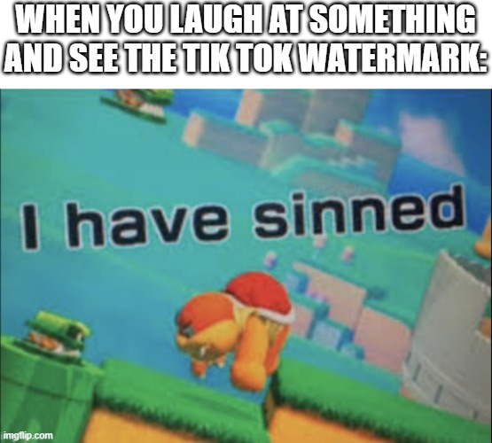 i don't even know |  WHEN YOU LAUGH AT SOMETHING AND SEE THE TIK TOK WATERMARK: | image tagged in i have sinned | made w/ Imgflip meme maker