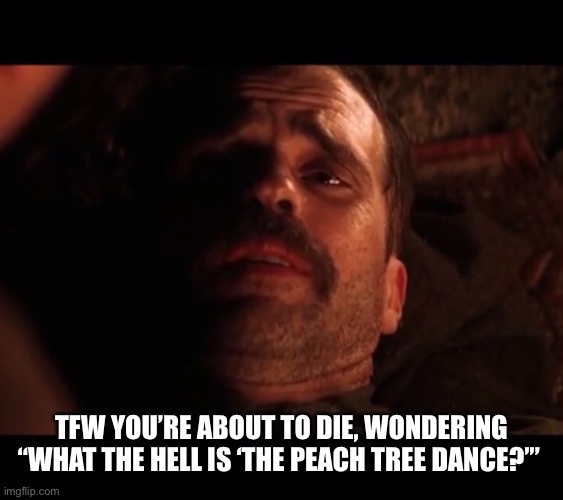 There will be blood | TFW YOU’RE ABOUT TO DIE, WONDERING “WHAT THE HELL IS ‘THE PEACH TREE DANCE?’” | image tagged in peach tree dance | made w/ Imgflip meme maker