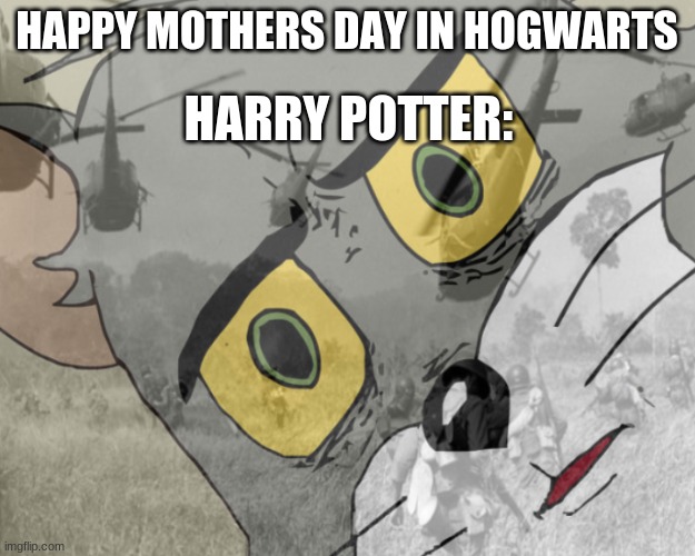 Unsettled tom vietnam |  HAPPY MOTHERS DAY IN HOGWARTS; HARRY POTTER: | image tagged in unsettled tom vietnam,harry potter | made w/ Imgflip meme maker