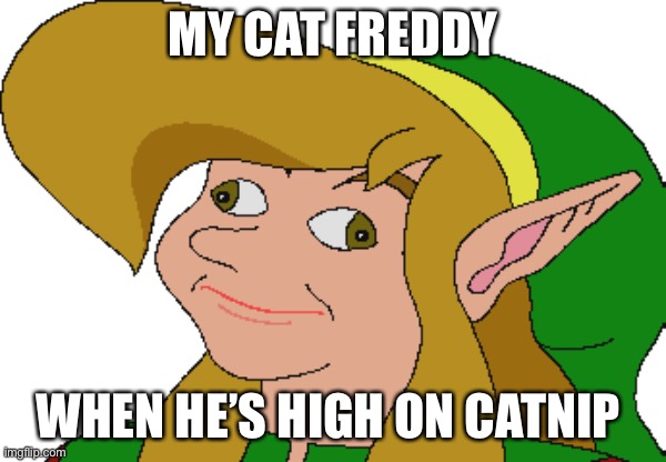 My cat be like | MY CAT FREDDY; WHEN HE’S HIGH ON CATNIP | image tagged in derp link | made w/ Imgflip meme maker
