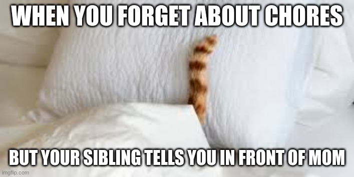 Has this happened to you before? | WHEN YOU FORGET ABOUT CHORES; BUT YOUR SIBLING TELLS YOU IN FRONT OF MOM | image tagged in cat,hiding | made w/ Imgflip meme maker