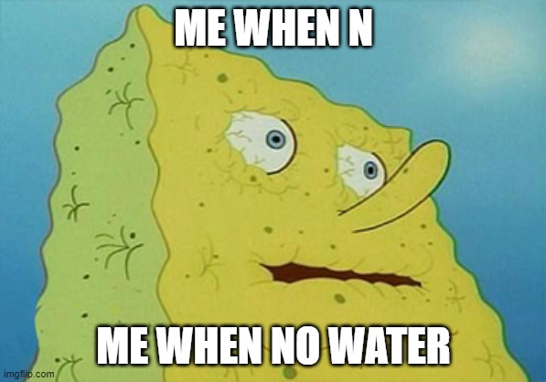 water | ME WHEN N; ME WHEN NO WATER | image tagged in water | made w/ Imgflip meme maker