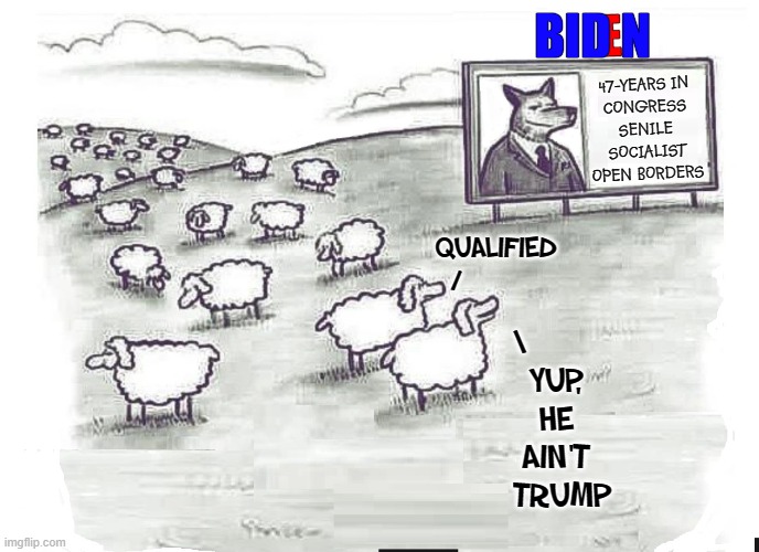 Thank you, Biden Voters! | BID N; E; 47-YEARS IN
CONGRESS
SENILE
SOCIALIST
OPEN BORDERS; QUALIFIED
/; \      
YUP,
HE
AIN'T
 TRUMP | image tagged in vince vance,donald trump,real man,memes,sheep,sheeple | made w/ Imgflip meme maker