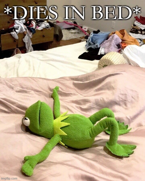 Kermit bed meme | *DIES IN BED* | image tagged in kermit bed meme | made w/ Imgflip meme maker