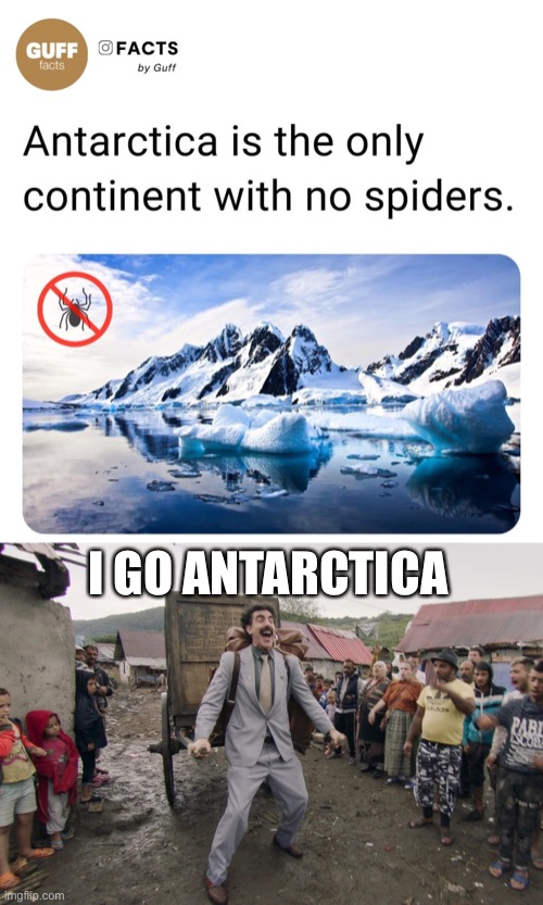 I go Antarctica |  I GO ANTARCTICA | image tagged in borat i go to america,i go antarctica,spiders,fear,arachnophobia | made w/ Imgflip meme maker