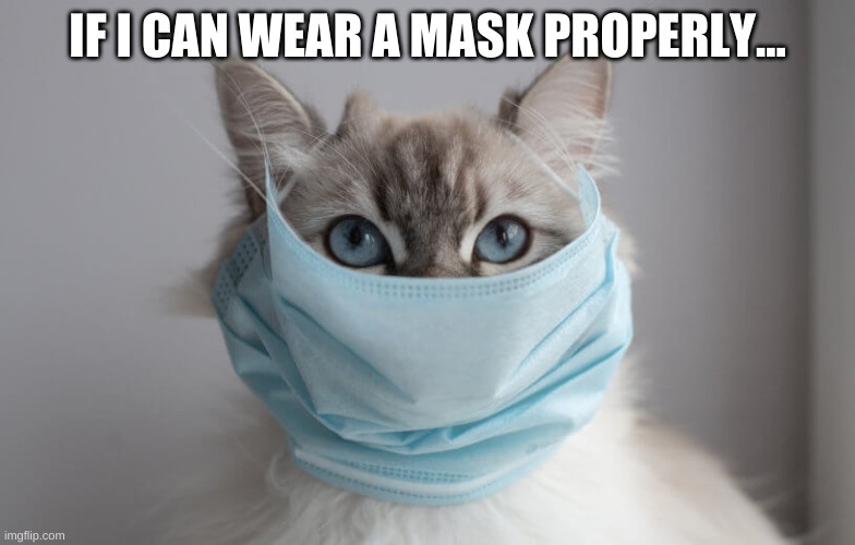 IF I CAN WEAR A MASK PROPERLY... | made w/ Imgflip meme maker