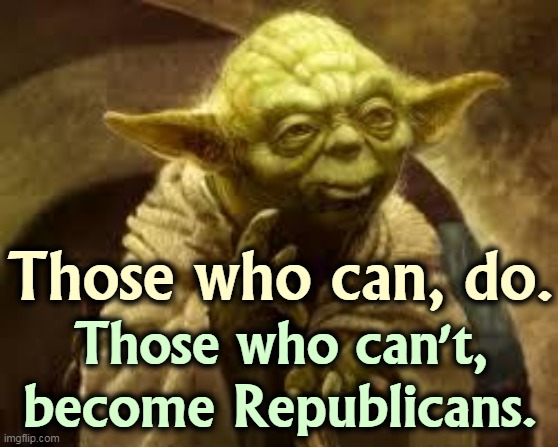 That accounts for a lot. | Those who can, do. Those who can't, become Republicans. | image tagged in yoda,democrats,achievement,republicans,incompetence | made w/ Imgflip meme maker