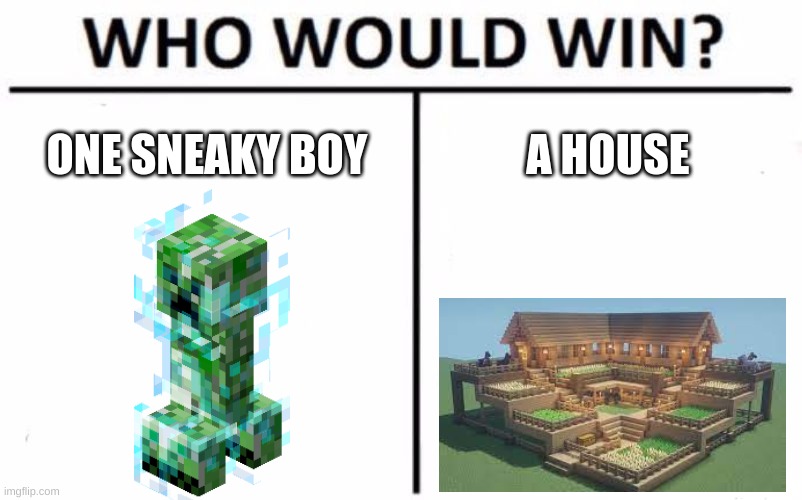 fo real | ONE SNEAKY BOY; A HOUSE | image tagged in memes,who would win | made w/ Imgflip meme maker