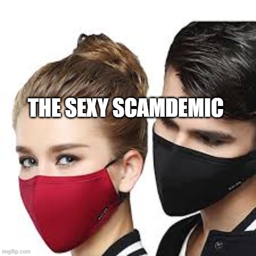 Mask Couple | THE SEXY SCAMDEMIC | image tagged in mask couple | made w/ Imgflip meme maker