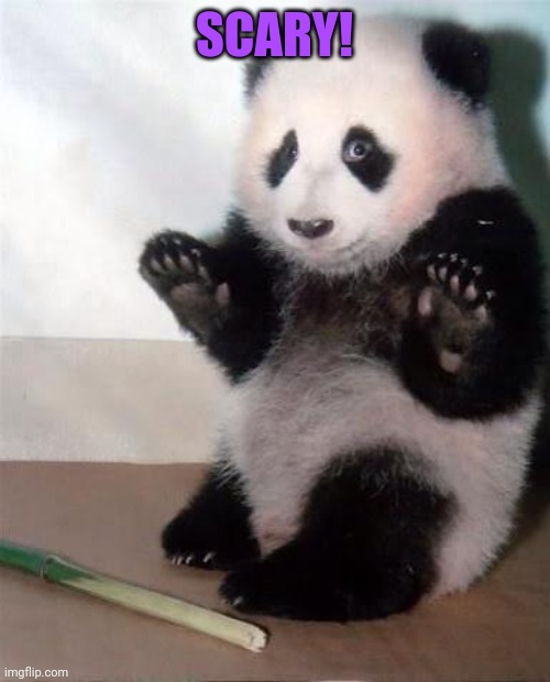 Hands Up panda | SCARY! | image tagged in hands up panda | made w/ Imgflip meme maker