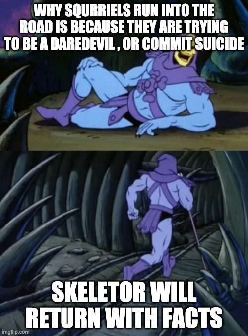 5th meme |  WHY SQURRIELS RUN INTO THE ROAD IS BECAUSE THEY ARE TRYING TO BE A DAREDEVIL , OR COMMIT SUICIDE; SKELETOR WILL RETURN WITH FACTS | image tagged in disturbing facts skeletor | made w/ Imgflip meme maker