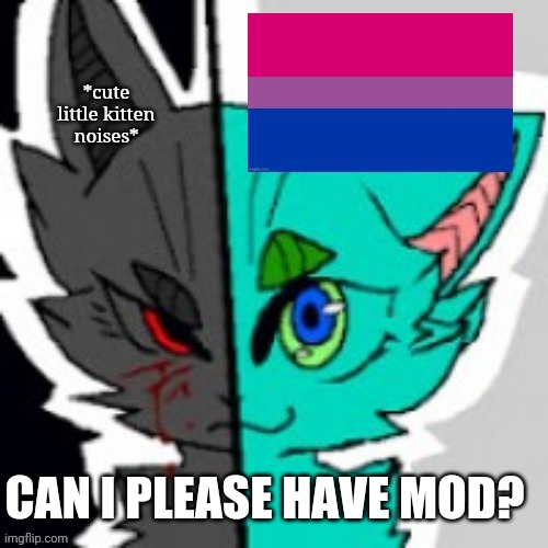 If it's alright with you guys- | *cute little kitten noises*; CAN I PLEASE HAVE MOD? | image tagged in retrofurry announcement template with bi flag | made w/ Imgflip meme maker
