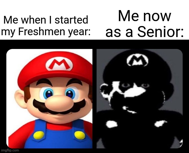 Try To Change My Mind | Me now as a Senior:; Me when I started my Freshmen year: | image tagged in mario v s dark mario | made w/ Imgflip meme maker