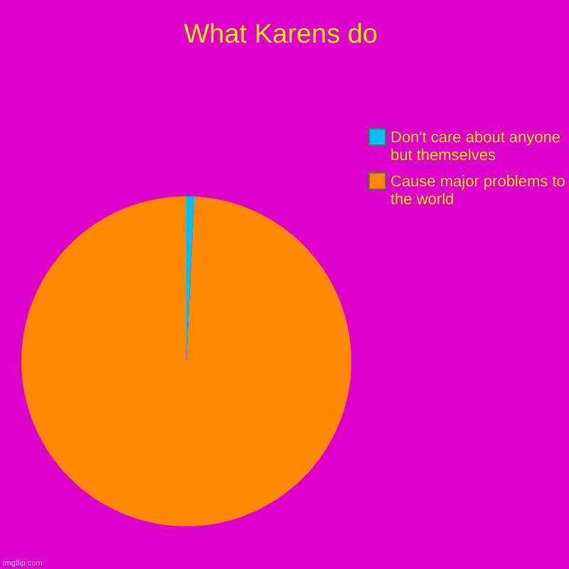 Who won't disagree | What Karens do | Cause major problems to the world, Don't care about anyone but themselves | image tagged in charts,pie charts | made w/ Imgflip chart maker