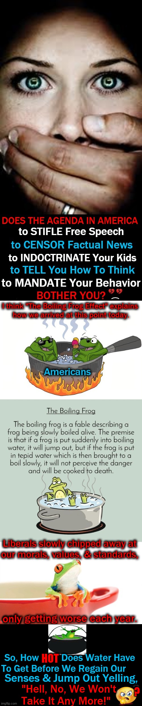 The Boiling Frog Effect & Our Subsequent Loss of Freedoms | only; So, How HOT Does Water Have 
To Get Before We Regain Our; HOT; Senses & Jump Out Yelling, "Hell, No, We Won't 
Take It Any More!"; ? | image tagged in politics,freedom in america,loss,frogs,liberal agenda | made w/ Imgflip meme maker