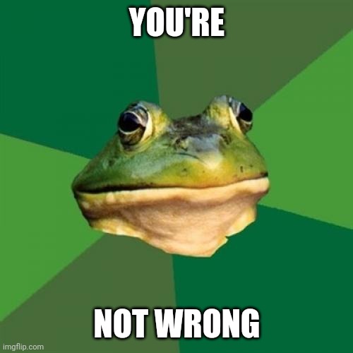 Foul Bachelor Frog Meme | YOU'RE NOT WRONG | image tagged in memes,foul bachelor frog | made w/ Imgflip meme maker
