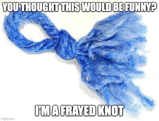 knot | YOU THOUGHT THIS WOULD BE FUNNY? I'M A FRAYED KNOT | image tagged in frayed knot | made w/ Imgflip meme maker