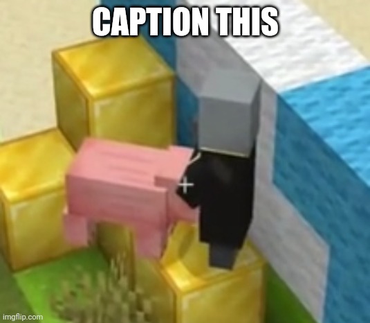 Pig giving evoker head | CAPTION THIS | image tagged in pig giving pillager head | made w/ Imgflip meme maker