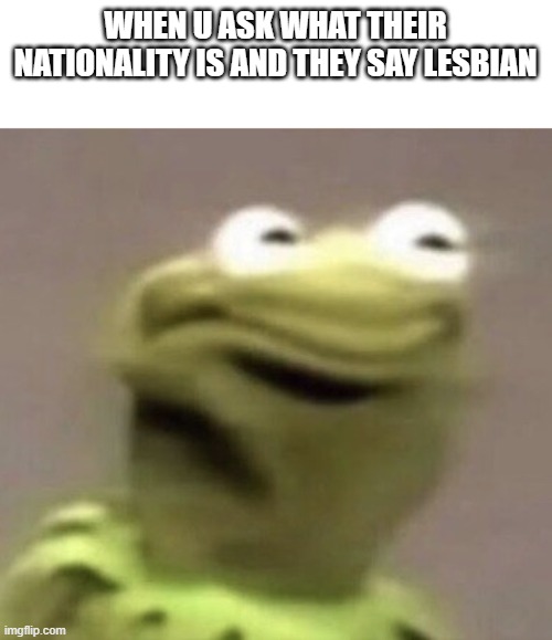 :) | WHEN U ASK WHAT THEIR NATIONALITY IS AND THEY SAY LESBIAN | image tagged in kermit,funny,funny memes | made w/ Imgflip meme maker