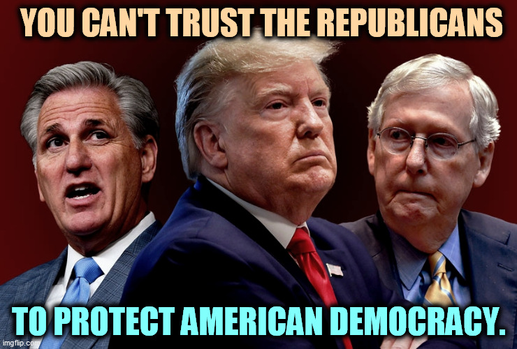 Democracy? What's that? It's highly over-rated. | YOU CAN'T TRUST THE REPUBLICANS; TO PROTECT AMERICAN DEMOCRACY. | image tagged in republicans,hate,democracy | made w/ Imgflip meme maker