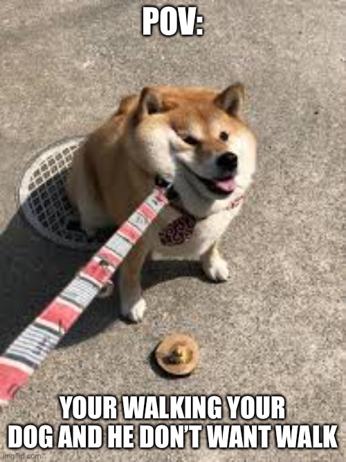 I dunno | POV:; YOUR WALKING YOUR DOG AND HE DON’T WANT WALK | image tagged in squishy doggo leash | made w/ Imgflip meme maker