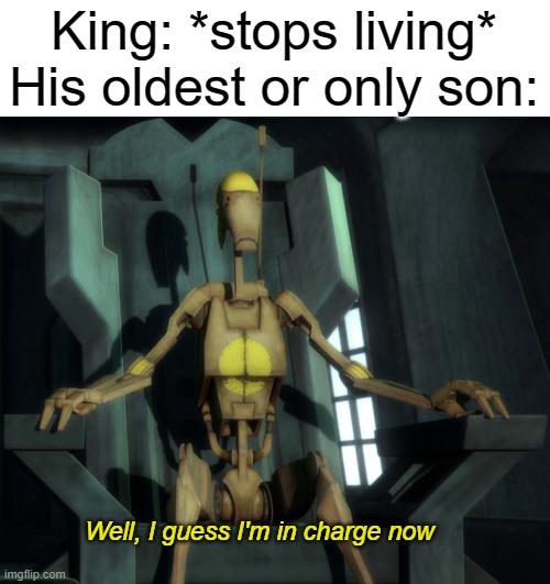 Well I guess I'm in charge now | King: *stops living*
His oldest or only son:; Well, I guess I'm in charge now | image tagged in well i guess i'm in charge now | made w/ Imgflip meme maker