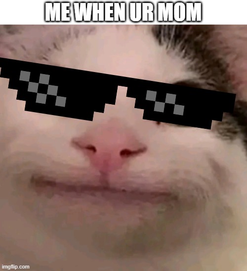 me when ur mom | ME WHEN UR MOM | image tagged in beluga,funny | made w/ Imgflip meme maker