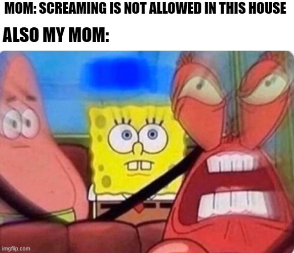 Moms | MOM: SCREAMING IS NOT ALLOWED IN THIS HOUSE; ALSO MY MOM: | image tagged in screaming mr krabs | made w/ Imgflip meme maker