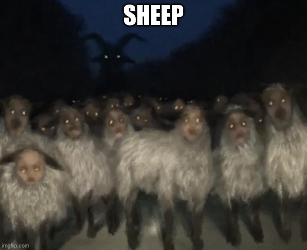 sheep | SHEEP | image tagged in imgflip,horror,meme,sheep | made w/ Imgflip meme maker
