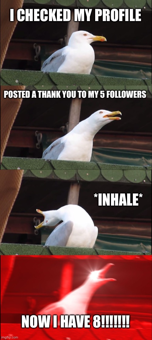 Thank you 8 followers(plz identify yourself in the comments) | I CHECKED MY PROFILE; POSTED A THANK YOU TO MY 5 FOLLOWERS; *INHALE*; NOW I HAVE 8!!!!!!! | image tagged in memes,inhaling seagull | made w/ Imgflip meme maker